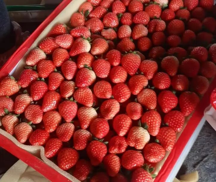 Screenshot_2025_0217_172921