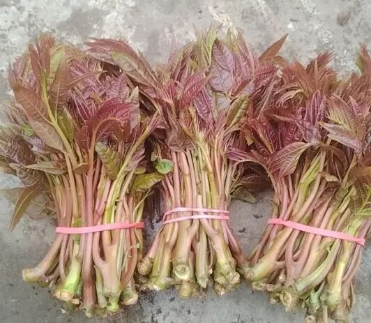 Screenshot_2025_0218_172326