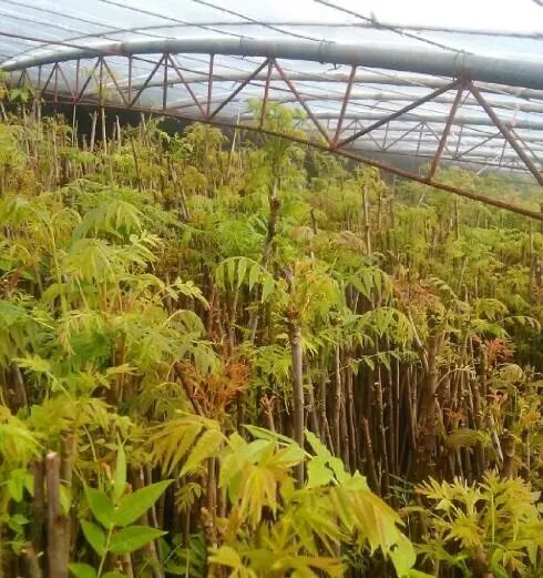 Screenshot_2025_0218_171708