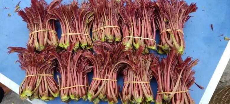 Screenshot_2025_0218_171047