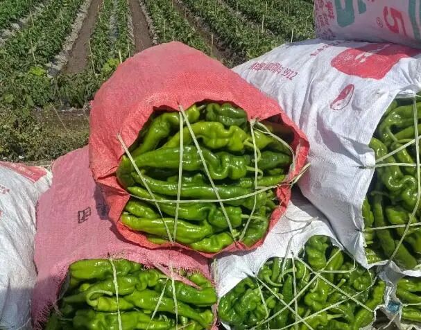 Screenshot_2025_0211_175118