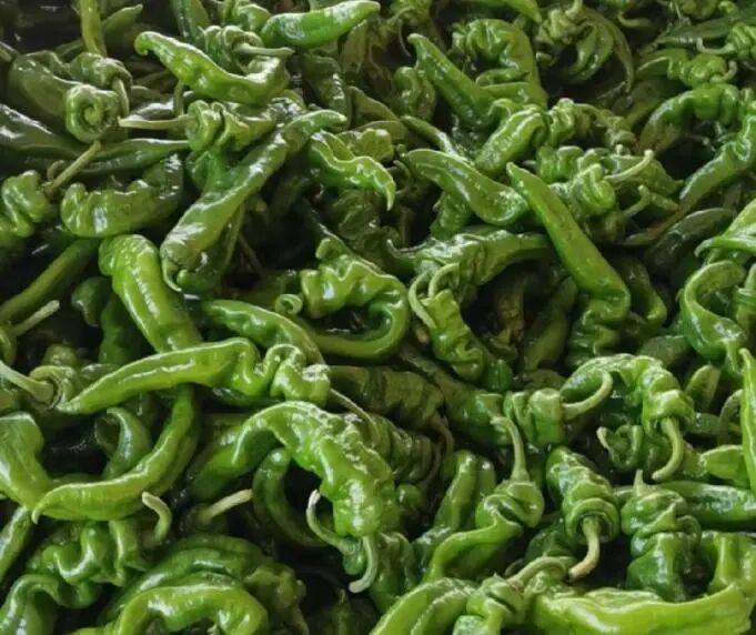 Screenshot_2025_0211_175039