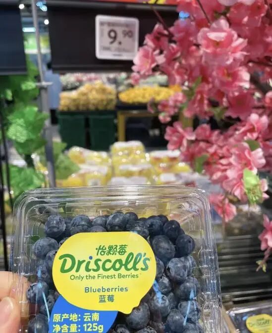 Screenshot_2025_0226_145517