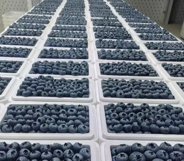 Screenshot_2025_0226_174538