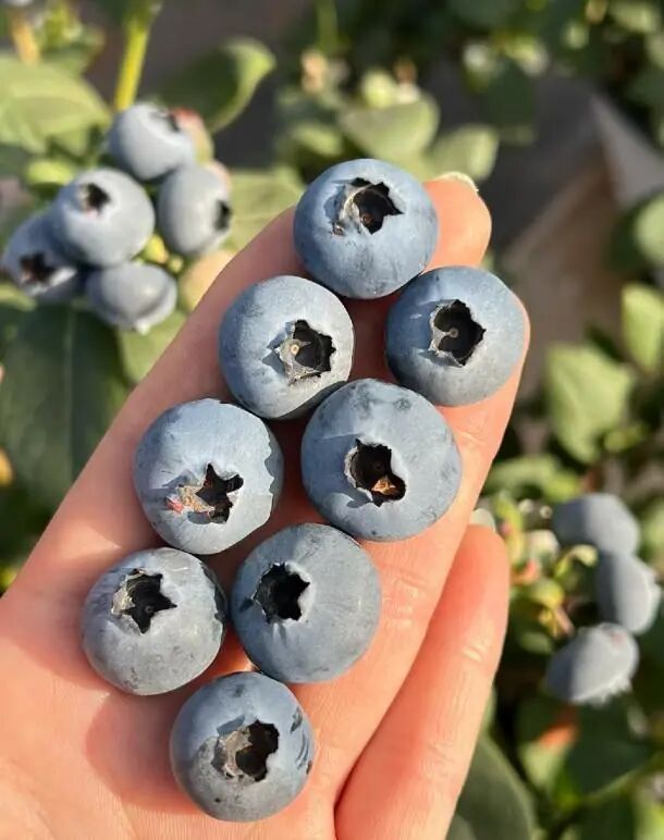 Screenshot_2025_0226_174759