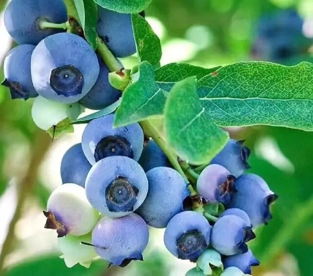 Screenshot_2025_0226_174410