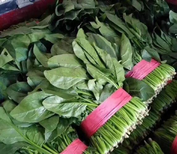 Screenshot_2025_0212_173637