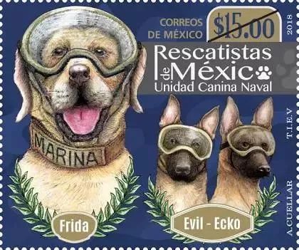 救出50多人的英雄狗狗 Frida 退休了，墨西哥為它立雕像！ 未分類 第4張