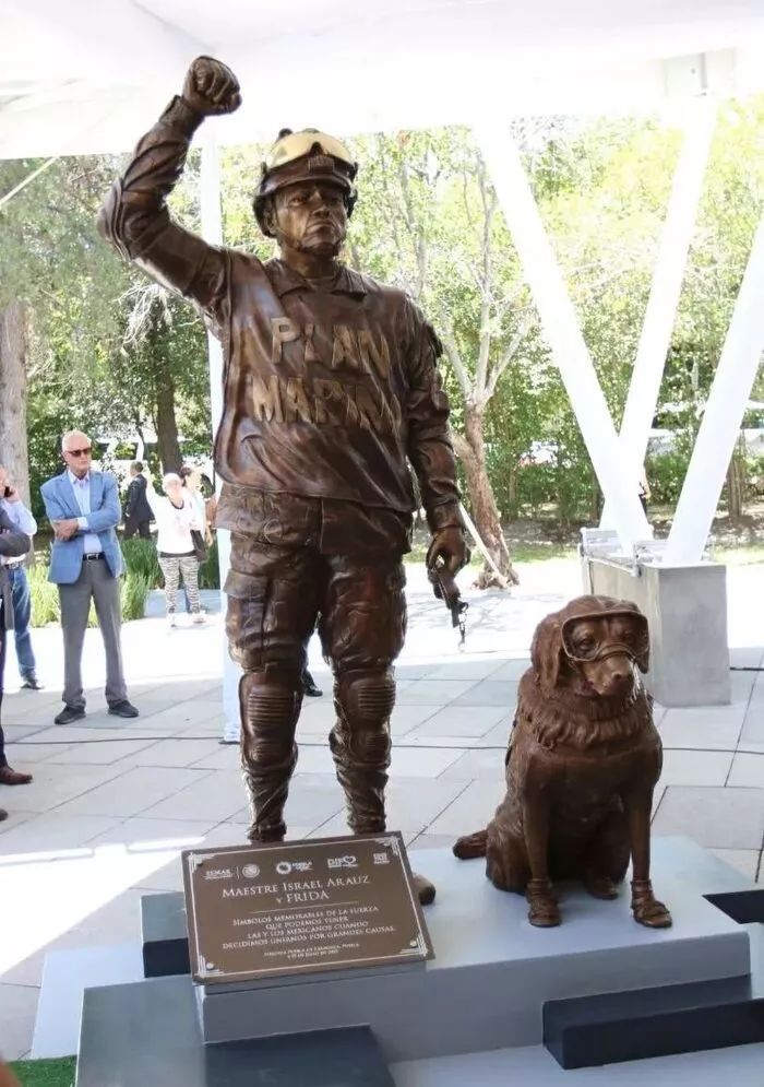 救出50多人的英雄狗狗 Frida 退休了，墨西哥為它立雕像！ 未分類 第6張
