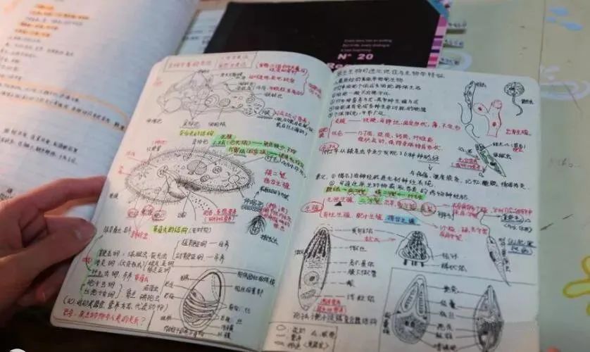 写人的作文指导教案_幼儿教案详细教案怎样写_阅读教案怎么写