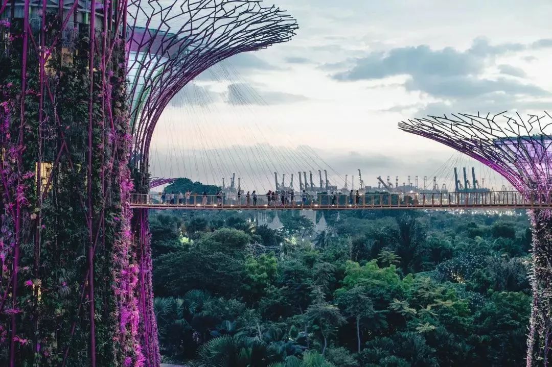 花園城市新加坡：最精簡實用的旅行攻略，遇見理想中的城市 未分類 第8張