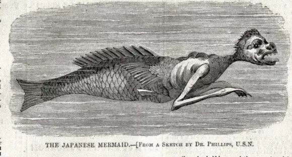 列島妖怪圖鑑 你夢中的日本古代人魚 會毀了你的童年 櫻花旅人 微文庫