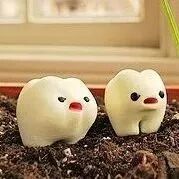 一封来自牙齿的离职信