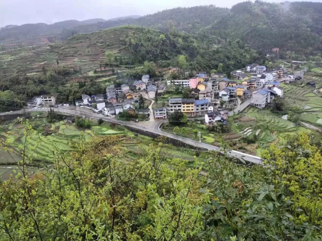 黄平县新州镇厕所革命惠民生助力乡村大文明