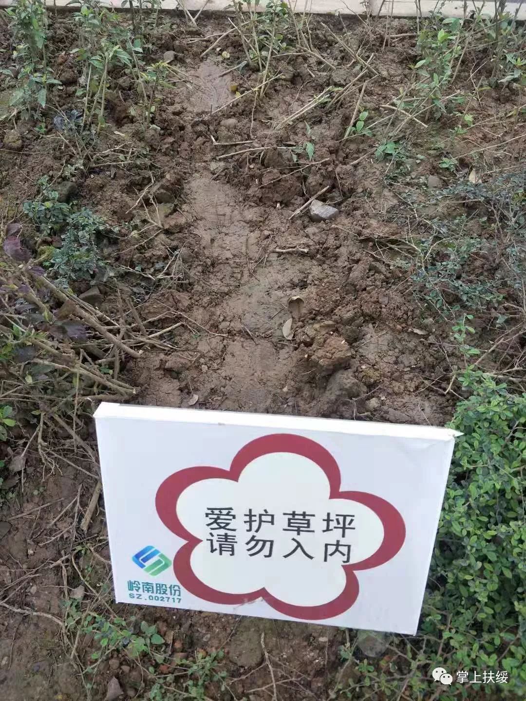 作者:上一层--扶绥66网 作者:上一层--扶绥66网