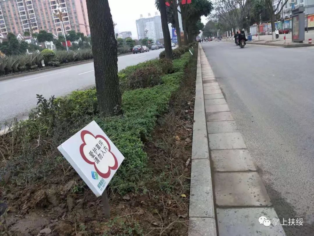 作者:上一层--扶绥66网 作者:上一层--扶绥66网