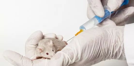 ˹̹Ƴɰ֢ - "ԭλ"Insitu Vaccination)