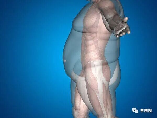 【两性】到底有多少男人阴茎超过18cm？（组图） - 26