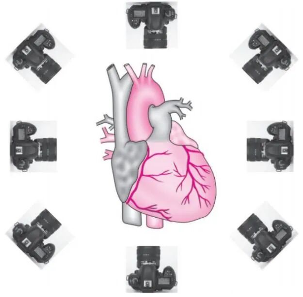 心电图怎么切换导联你了解过心电图导联吗？_https://www.jmylbn.com_新闻资讯_第3张