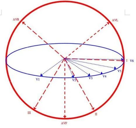 心电图怎么切换导联你了解过心电图导联吗？_https://www.jmylbn.com_新闻资讯_第12张