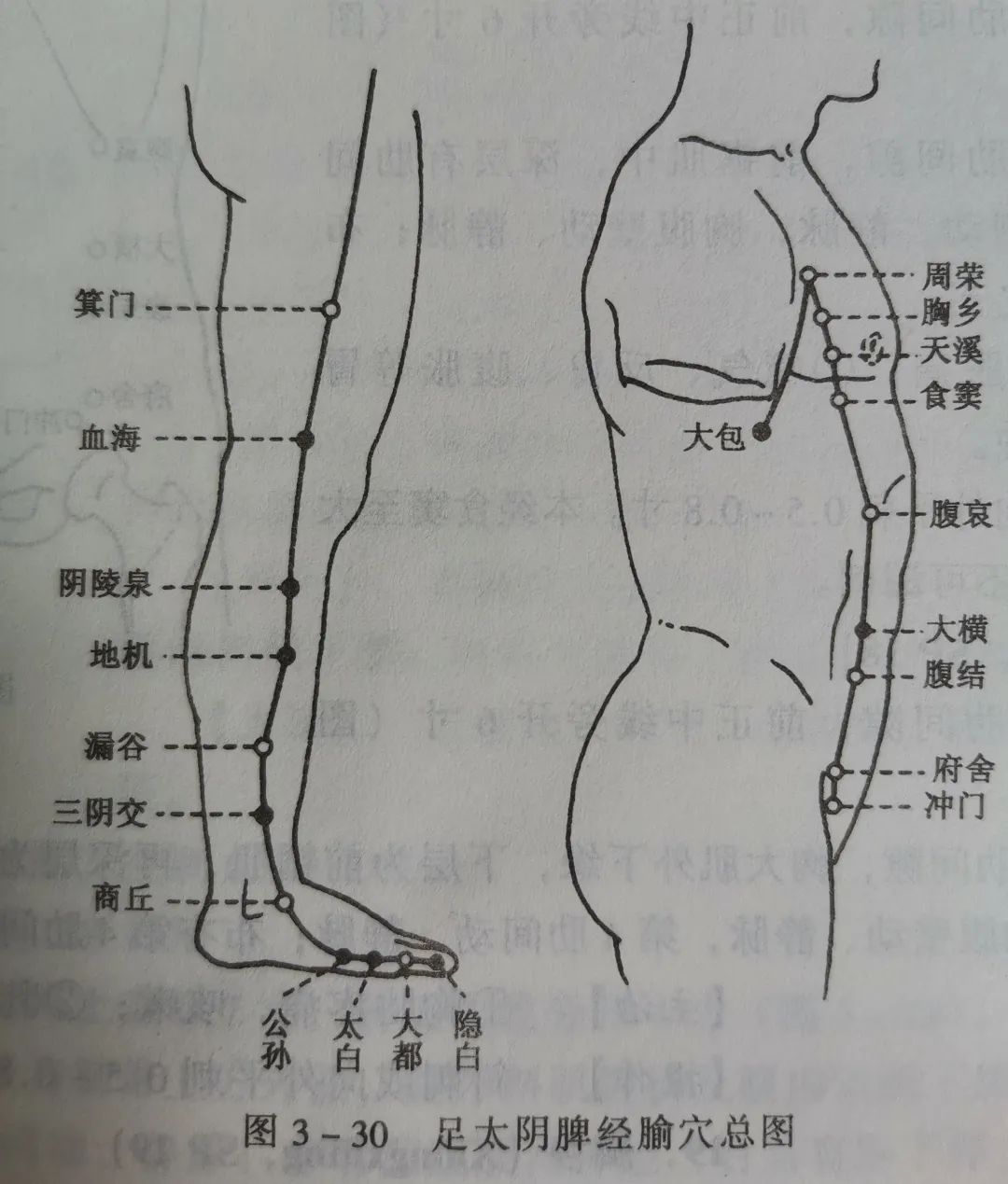 足太阴脾经穴位图谱