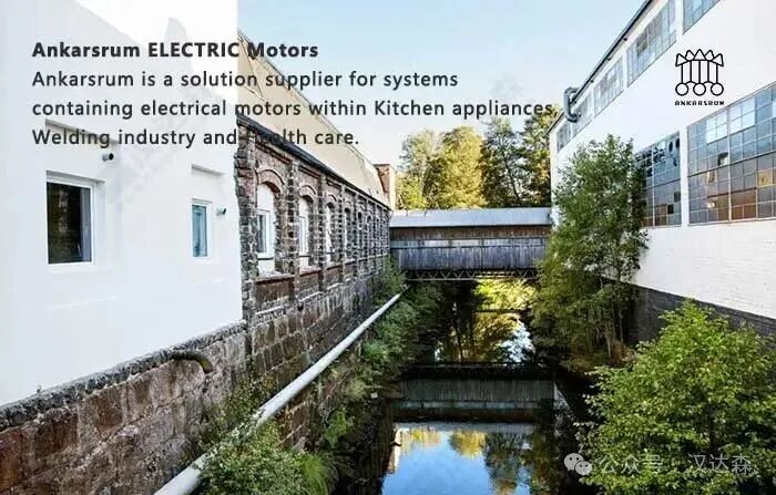 Ankarsrum ELECTRIC Motors