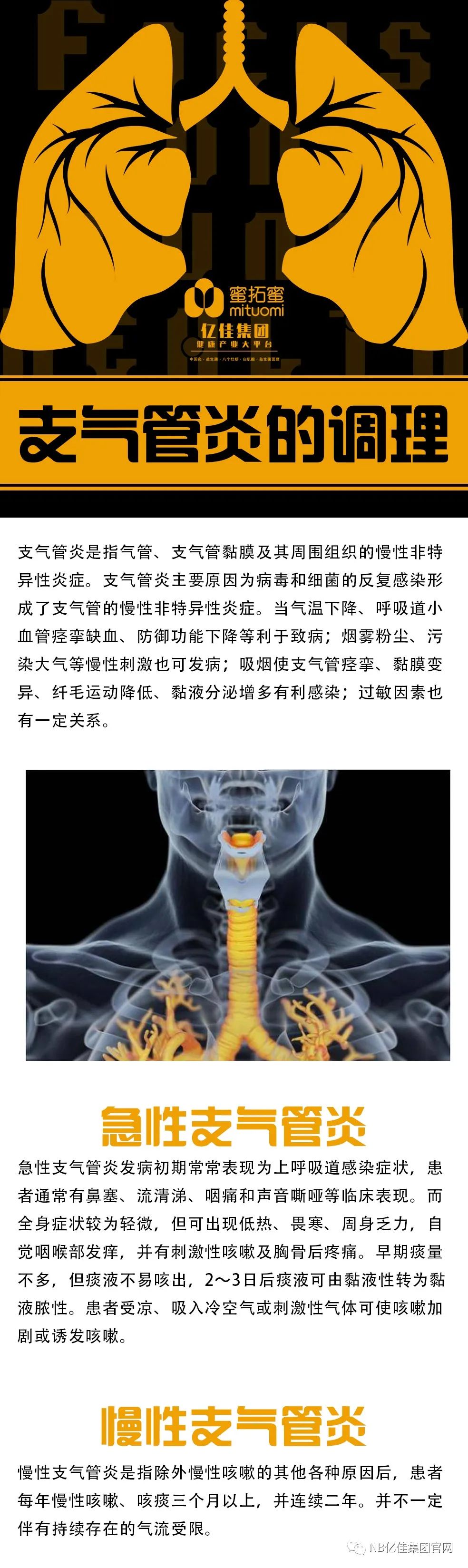 支气管炎的调理