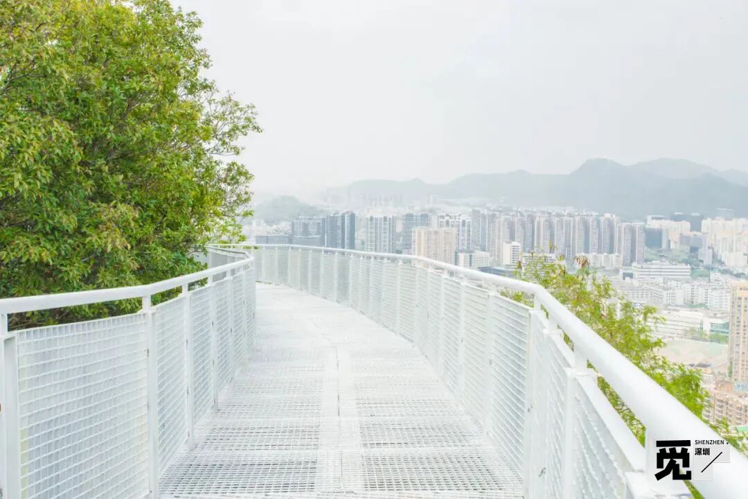 深圳首条「镂空纯白栈道」