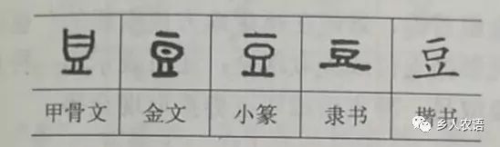 饮食文化与部首中的饮食器具 豆部篇 乡人农语 微信公众号文章阅读 Wemp