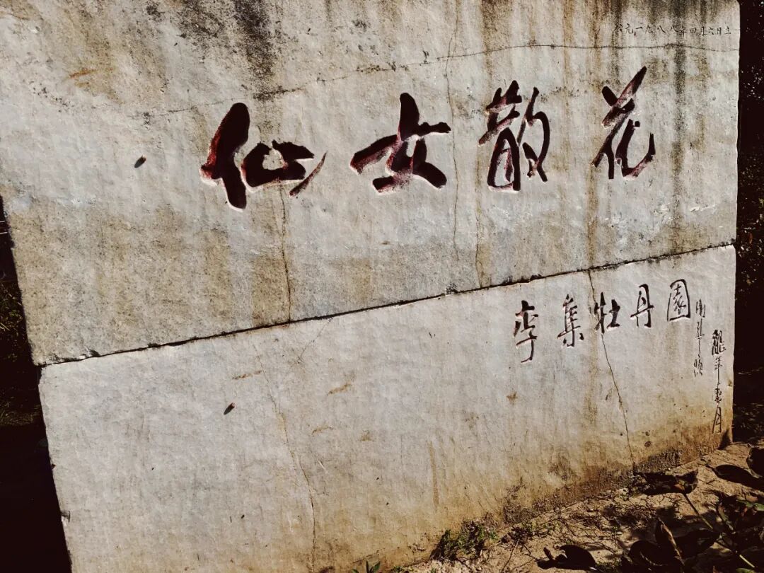 仙女散花牡丹仙子标志性雕塑时隔20年重现曹州牡丹园于万花丛中守护