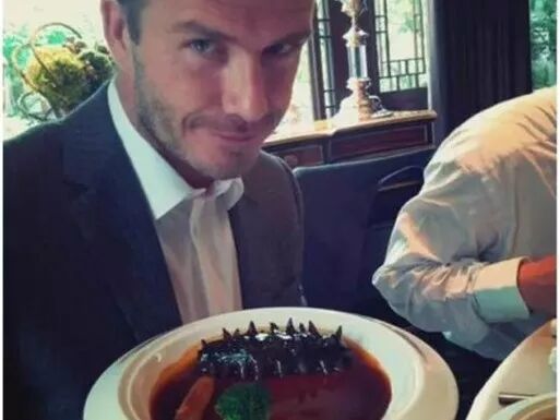 知名男星：化解N个“男”题，海参是个不错的选择！