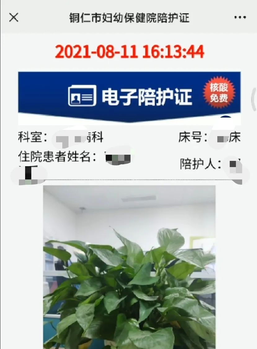 陪護更便捷銅仁市首家醫院電子陪護證上線了