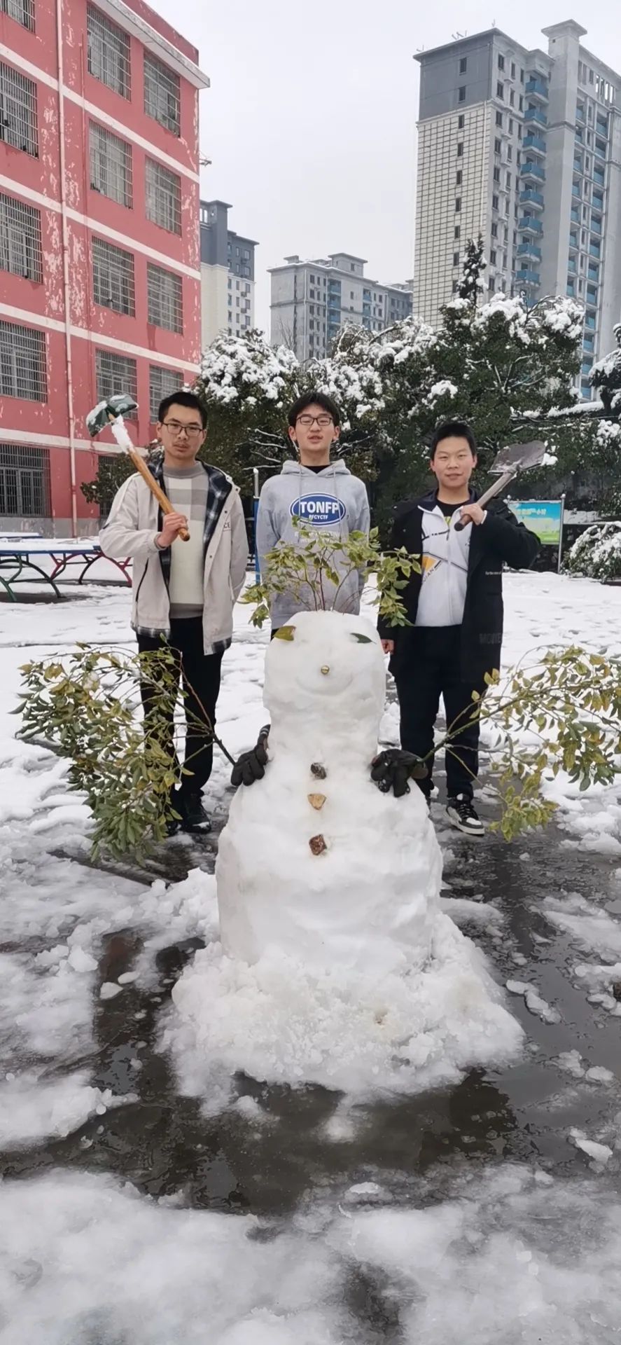 天寒雪飘情暖校园万载县第三中学师生志愿扫雪除冰