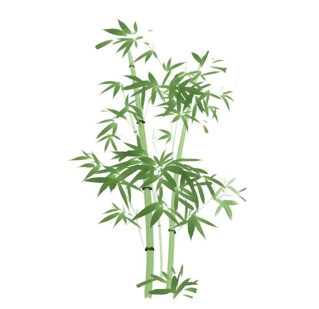 晓说｜好药材的炮制工艺