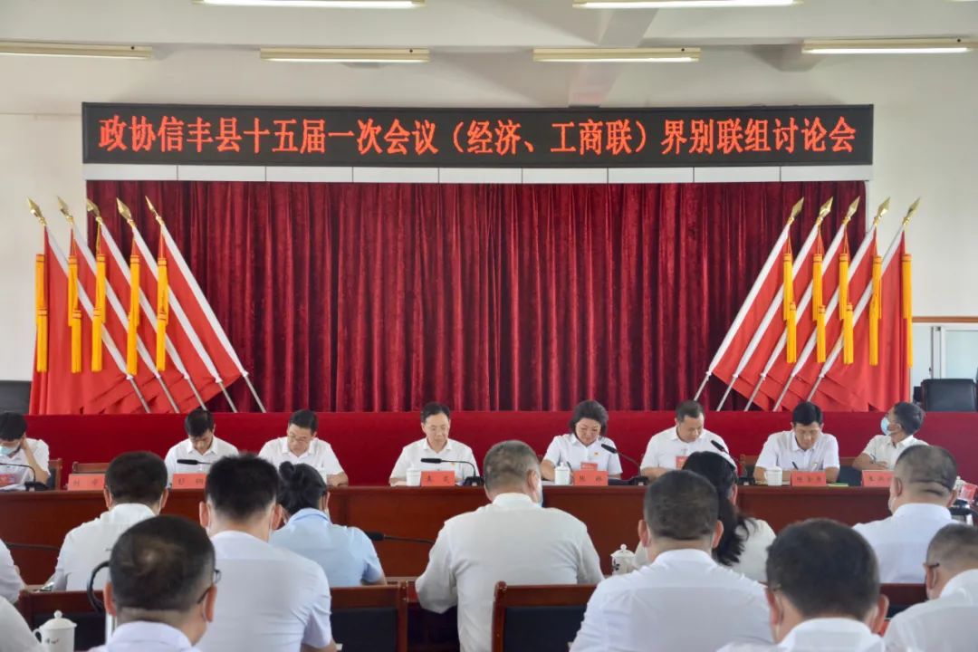 袁炎张琳参加经济工商联界别联组讨论