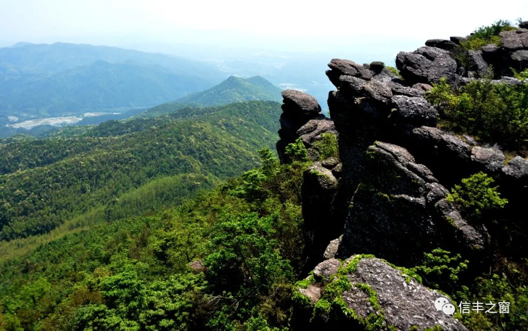 大美信丰登顶木公寨共赏春光美