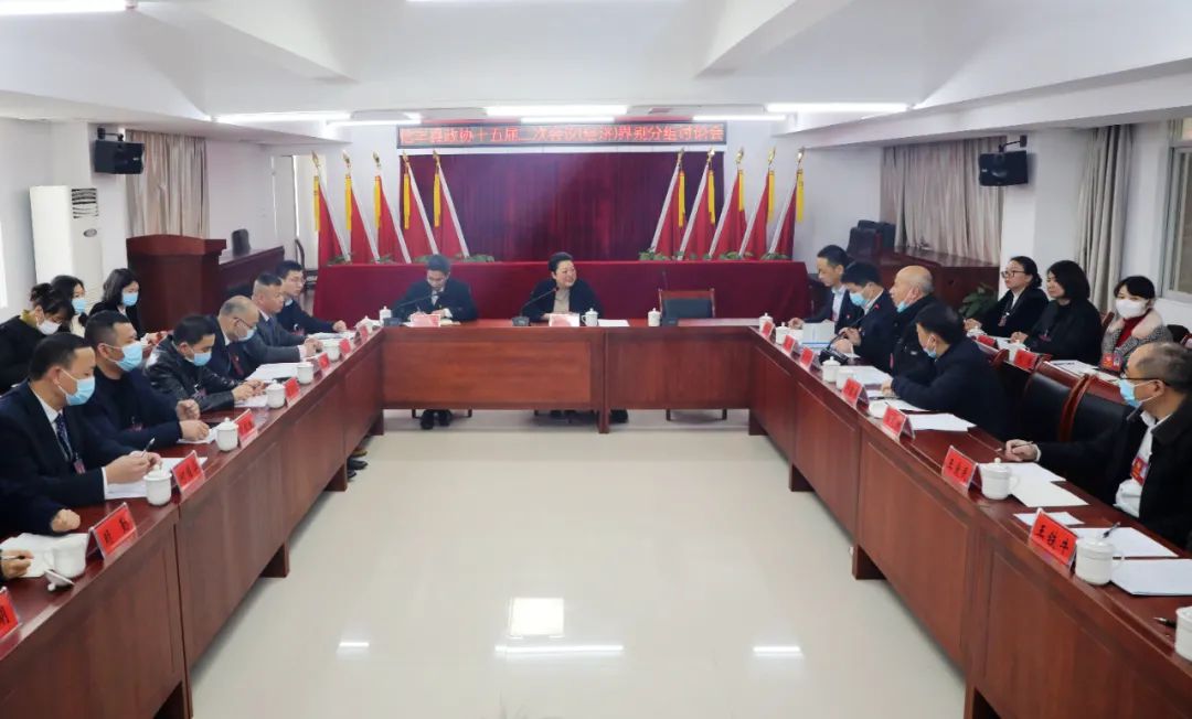 张琳参加经济界别和安西镇代表团分组讨论 | 信丰县信息公开