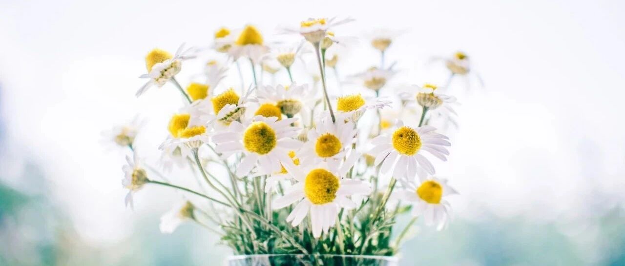 最容易患上心理病的三大星座，智商太高，不被理解，总让人群孤立