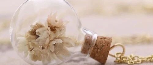 很有野心的星座，理性又有冲劲，对人生很积极