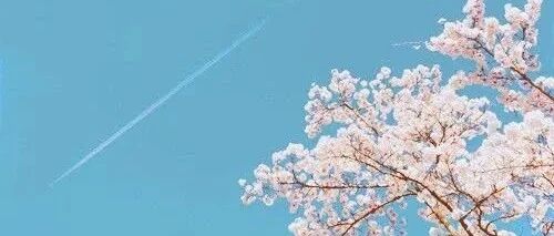 不轻易心动的星座，很难追，一旦心动就愿意付出一切