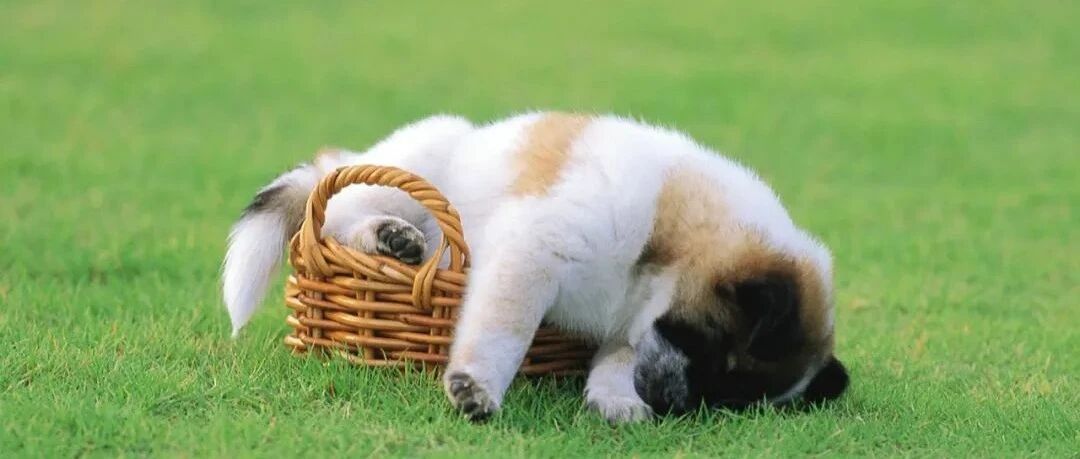 这些星座内心最狠，逼着自己成长，不怕挫折，不怕痛苦，义无反顾