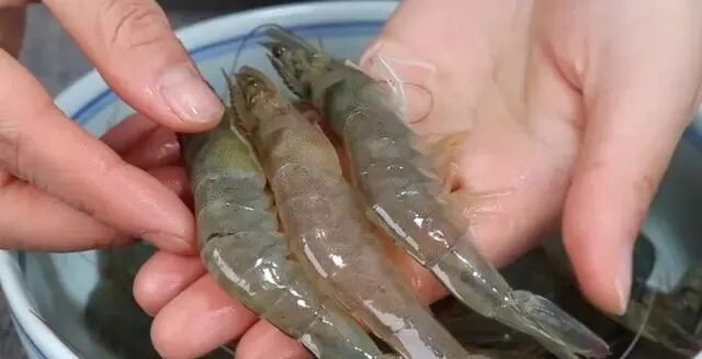 大虾买直虾好还是弯虾好？主要取决于你想做什么美食！