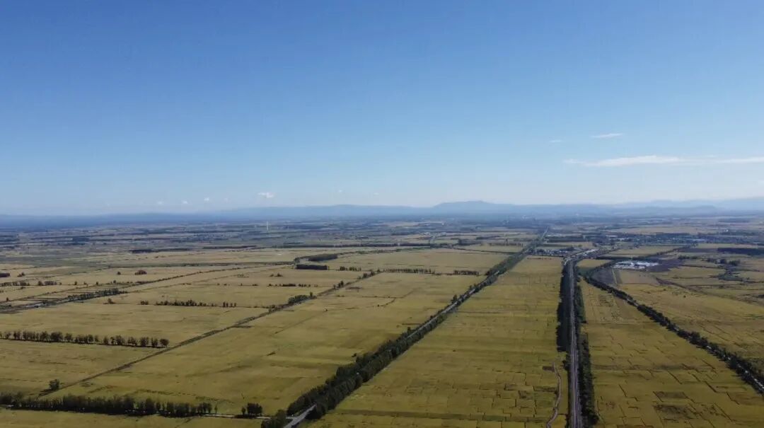 fa6100怎么使用145万立方米烂泥巴如何卖出6100万元？_https://www.jmylbn.com_新闻资讯_第8张