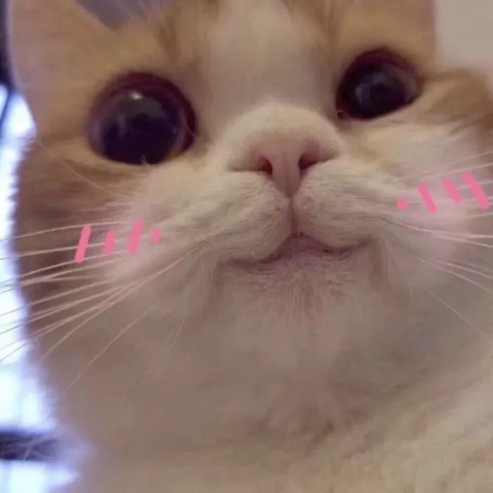 2019050393715_VrxVm.jpeg