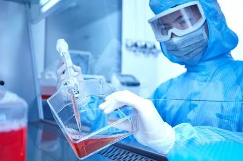 肺部结节 肺部结节