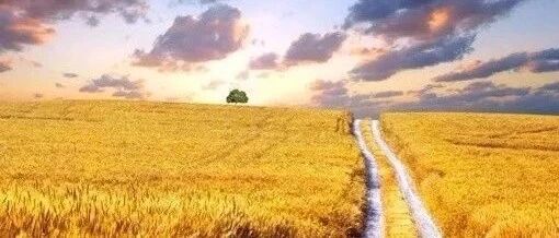 有远见的父母，舍得让孩子吃这些苦