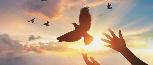 最好的教育：家长不护短，老师不姑息，我们并肩努力！