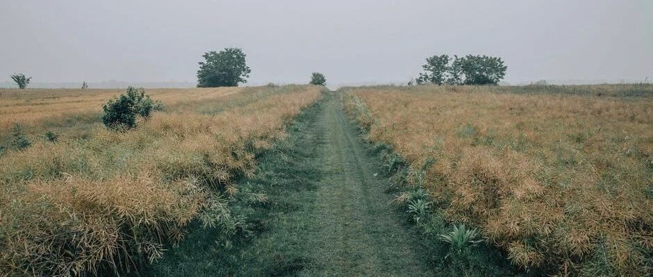 如何做一名合格的高中生家长？听听从教20年的高中班主任怎么说