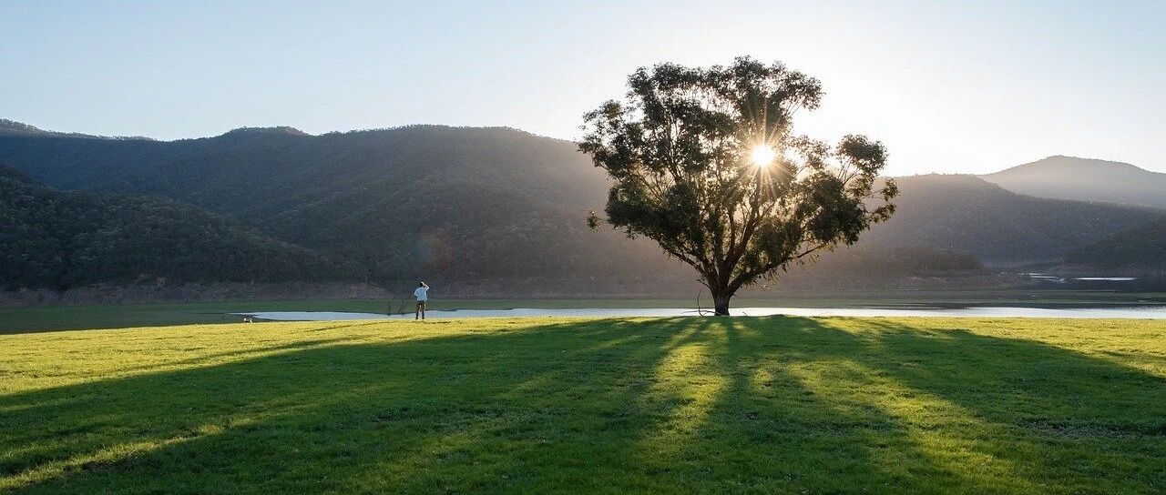 老师要转给家长：千万别和青春期的孩子较劲！| 精选