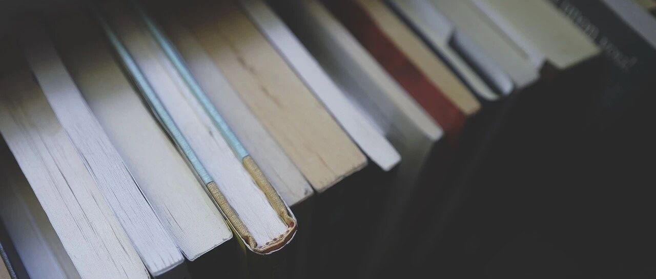 那些爱读书的孩子，都是怎么培养出来的？